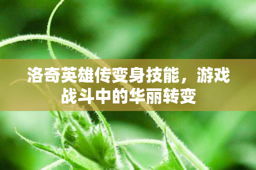游戏战斗中的华丽转变图片