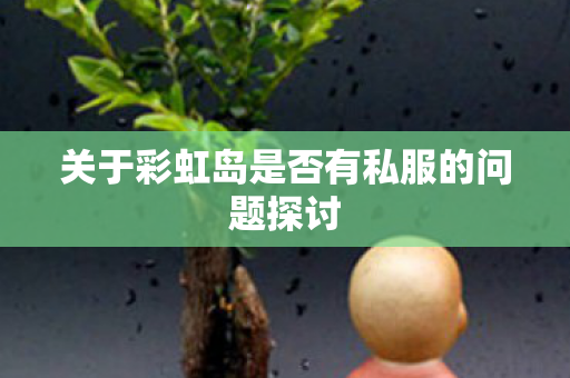 关于彩虹岛是否有私服的问题探讨图片