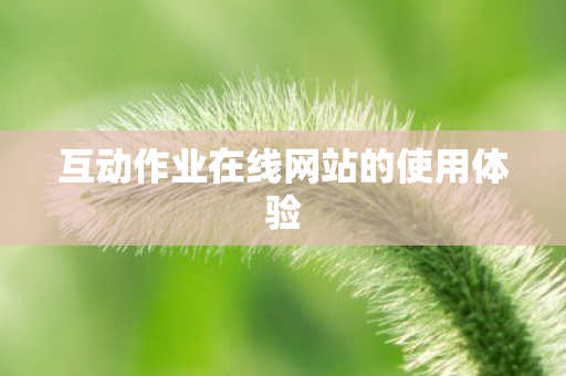 互动作业在线网站的使用体验图片