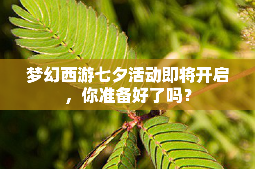 梦幻西游七夕活动即将开启图片