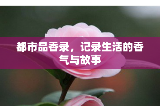 记录生活的香气与故事图片