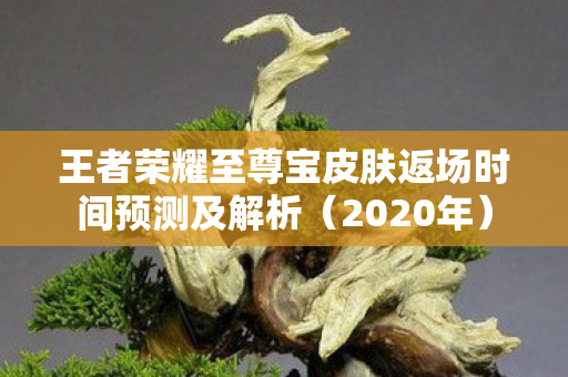 王者荣耀至尊宝皮肤返场时间预测及解析图片
