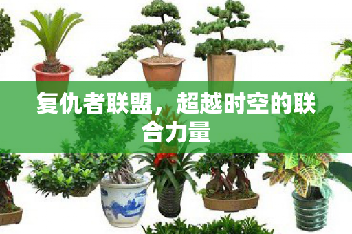 超越时空的联合力量图片
