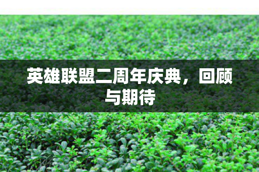 英雄联盟二周年庆典图片