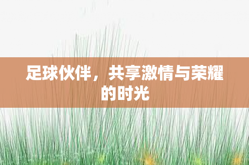 共享激情与荣耀的时光图片