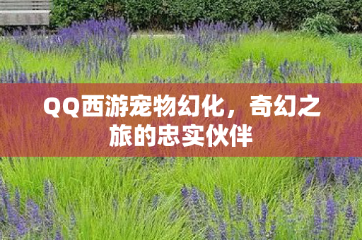 奇幻之旅的忠实伙伴图片