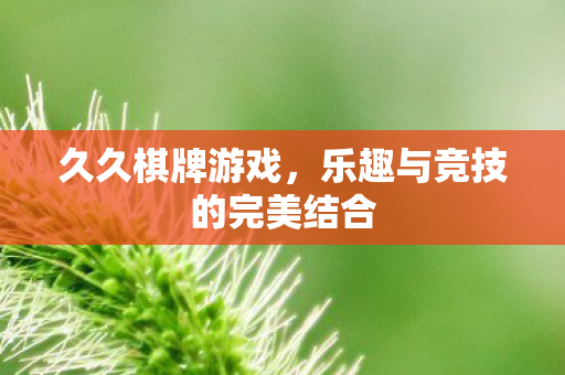乐趣与竞技的完美结合图片