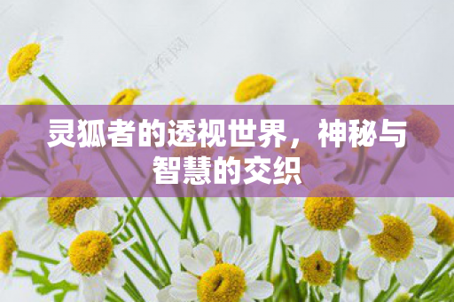灵狐者的透视世界图片