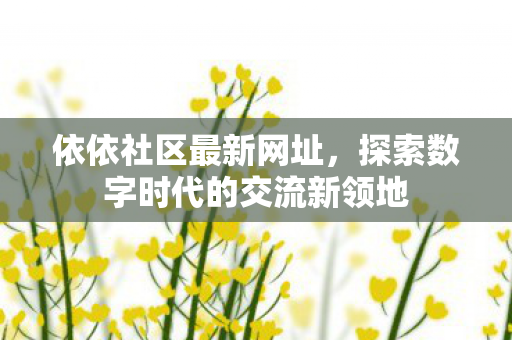 探索数字时代的交流新领地图片