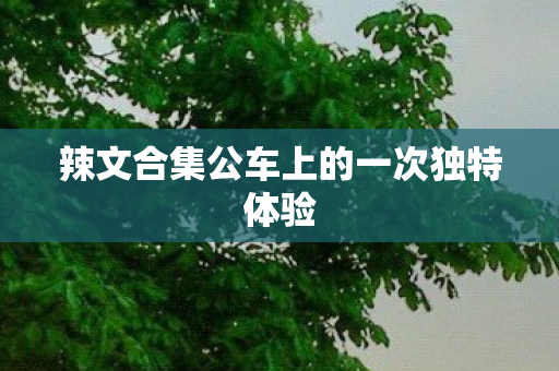 辣文合集公车上的一次独特体验图片
