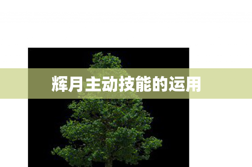辉月主动技能的运用图片