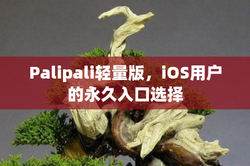 iOS用户的永久入口选择图片