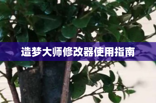 造梦大师修改器使用指南图片