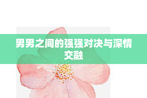 男男之间的强强对决与深情交融图片