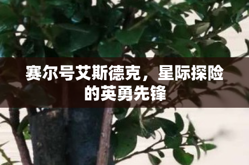 星际探险的英勇先锋图片