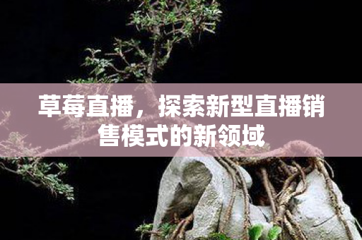 探索新型直播销售模式的新领域图片
