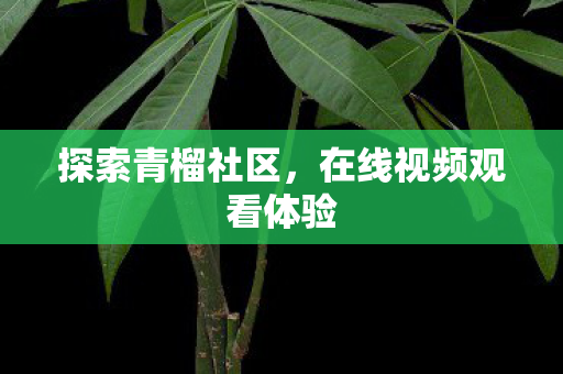 在线视频观看体验图片