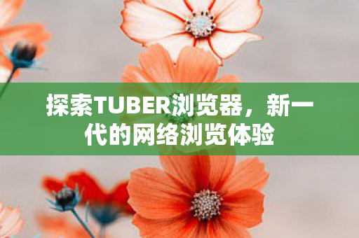 探索TUBER浏览器图片