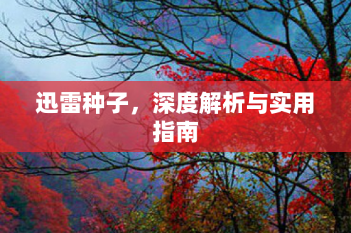 深度解析与实用指南图片