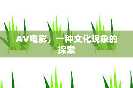 一种文化现象的探索图片