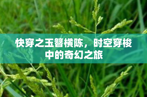 时空穿梭中的奇幻之旅图片
