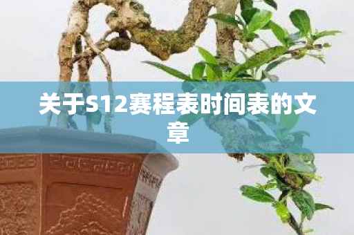 关于S12赛程表时间表的文章图片