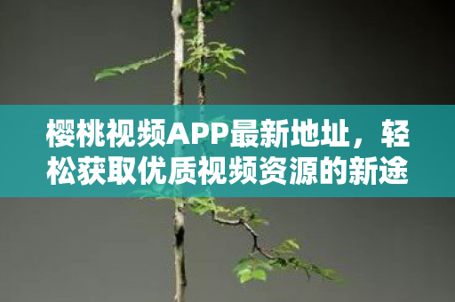 轻松获取优质视频资源的新途径图片