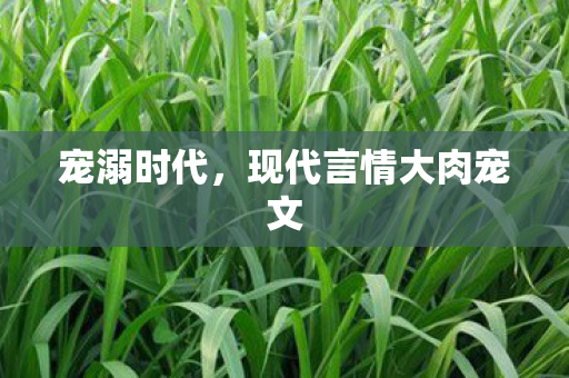 现代言情大肉宠文图片