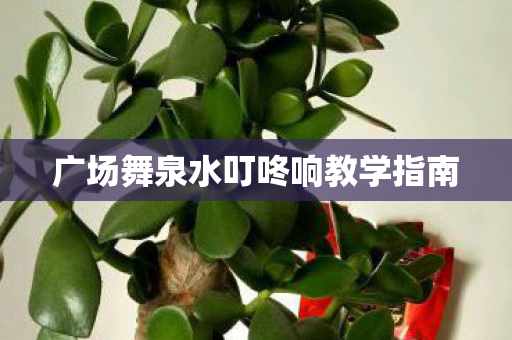 广场舞泉水叮咚响教学指南图片