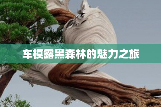 车模露黑森林的魅力之旅图片