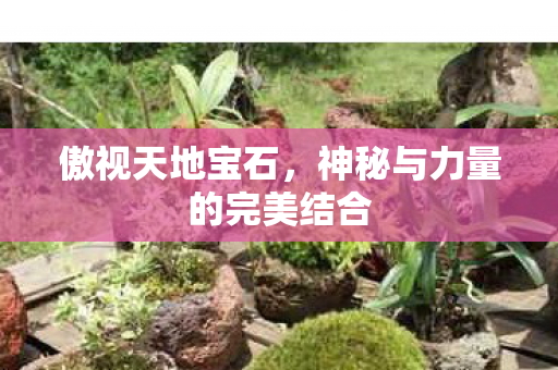神秘与力量的完美结合图片