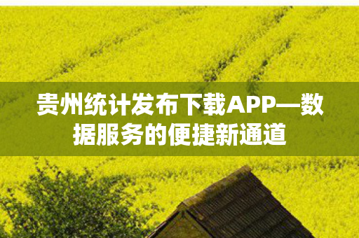 贵州统计发布下载APP图片