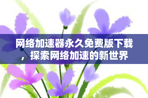 网络加速器永久免费版下载图片