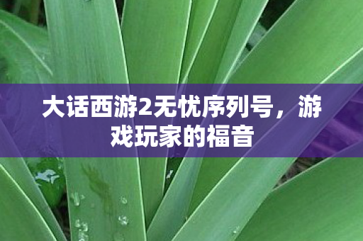 大话西游2无忧序列号图片