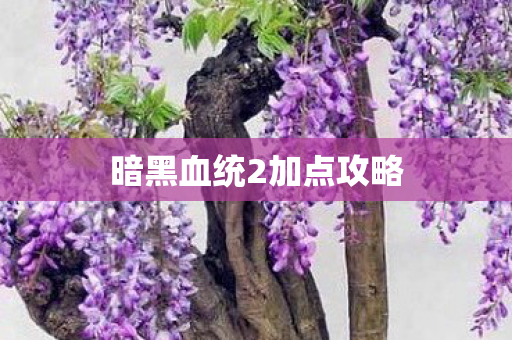 暗黑血统2加点攻略图片