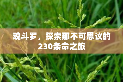 探索那不可思议的230条命之旅图片