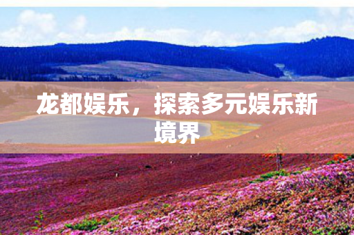 探索多元娱乐新境界图片