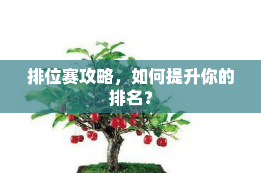 如何提升你的排名图片