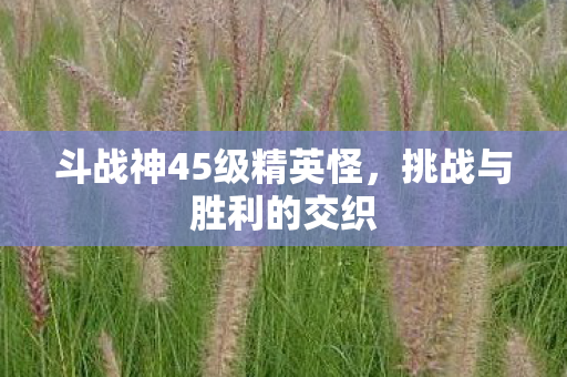 斗战神45级精英怪图片