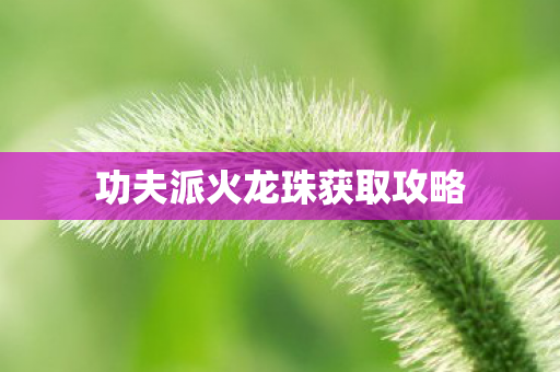 功夫派火龙珠获取攻略图片