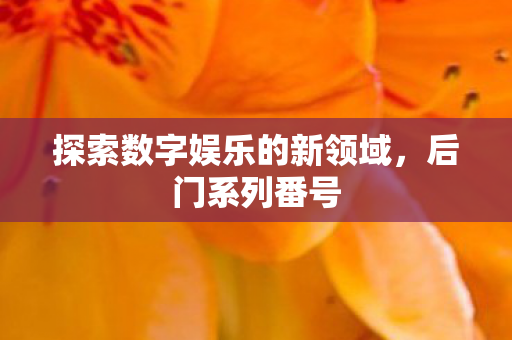 探索数字娱乐的新领域图片
