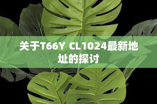 关于T66Y CL1024最新地址的探讨图片