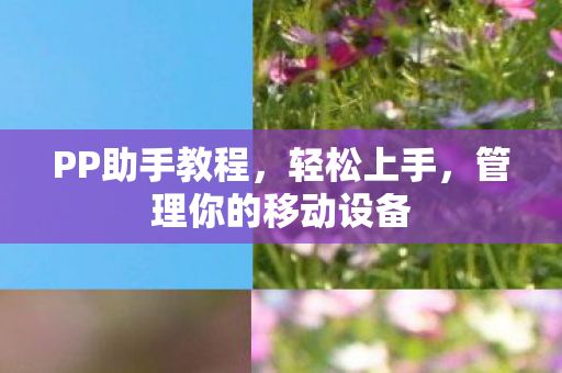 管理你的移动设备图片