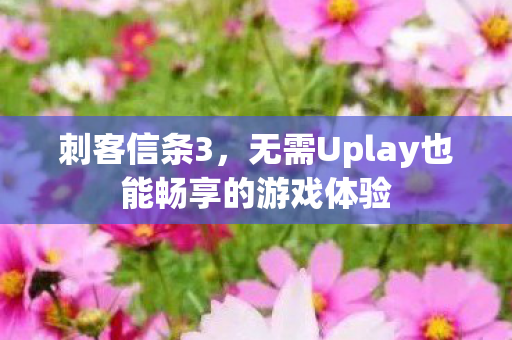 无需Uplay也能畅享的游戏体验图片