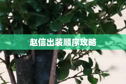 赵信出装顺序攻略图片