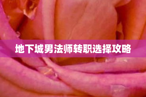 地下城男法师转职选择攻略图片