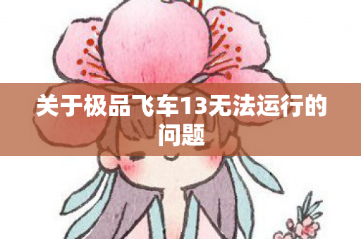 关于极品飞车13无法运行的问题图片