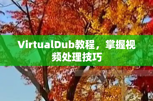 VirtualDub教程图片