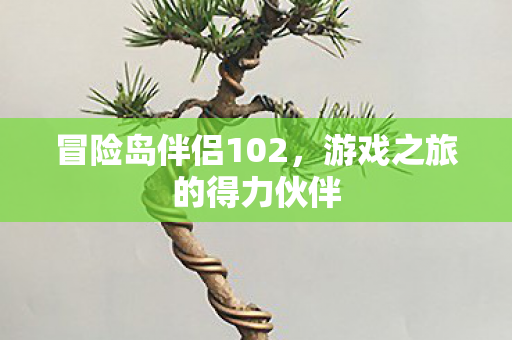游戏之旅的得力伙伴图片