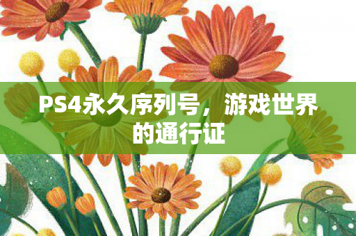 PS4永久序列号图片